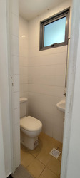 Viz At Holland (D10), Condominium #437844861